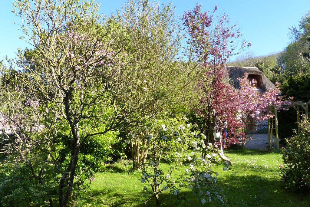 Villa La Flore Marine à Saint-Jouin-Bruneval Extérieur photo